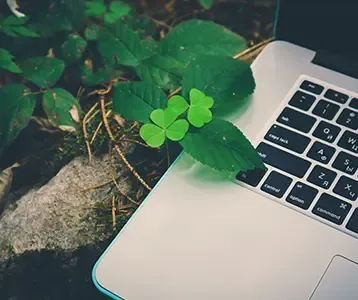 Clavier d’ordinateur portable entouré de feuilles en pleine nature, illustrant la rencontre entre technologie et écologie à travers l’éco-conception web et les pratiques numériques responsables.